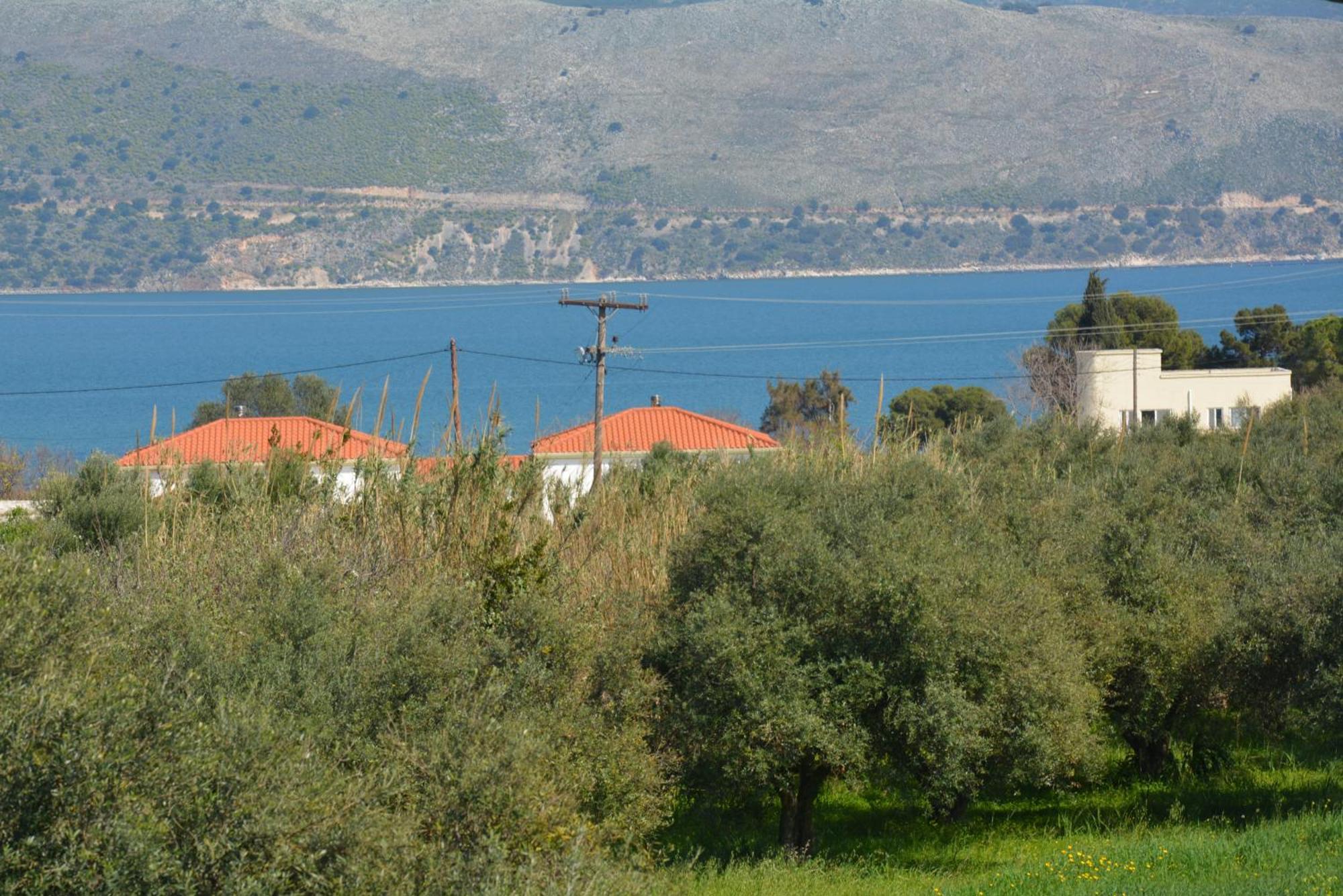 Lotus Sea View Apartments Lixouri Esterno foto